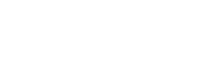 Blue Salmon Solutions