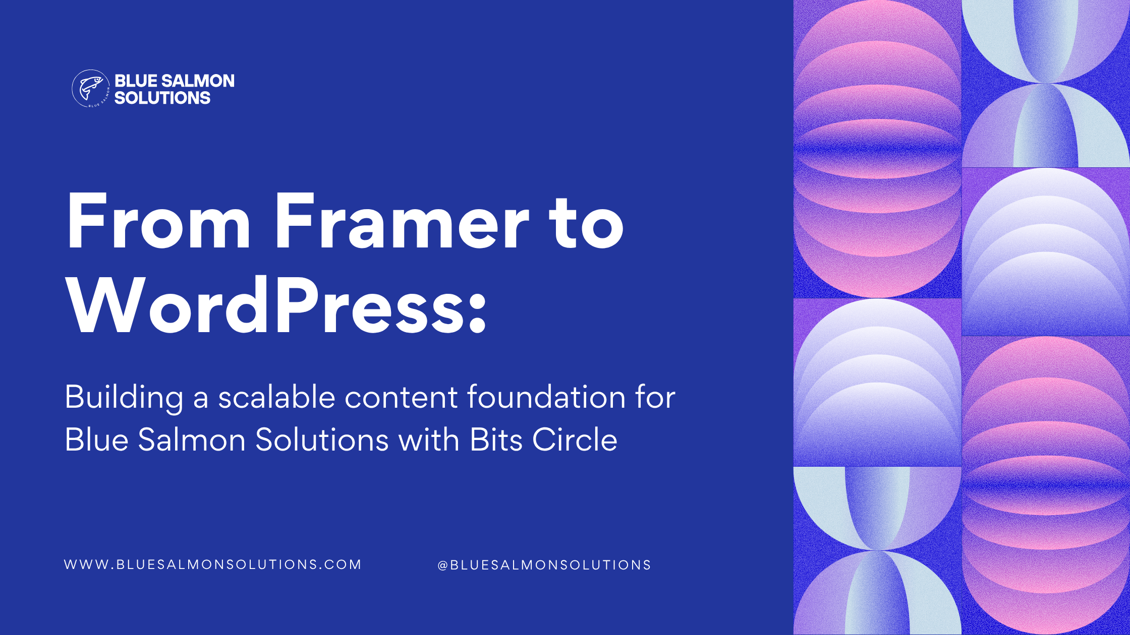 From Framer to WordPress: Building a scalable content foundation for Blue Salmon Solutions with Bits Circle
